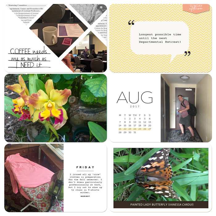August_right