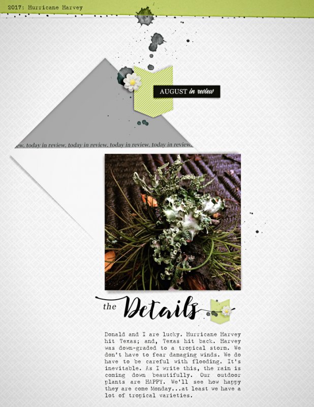 AugustDetails