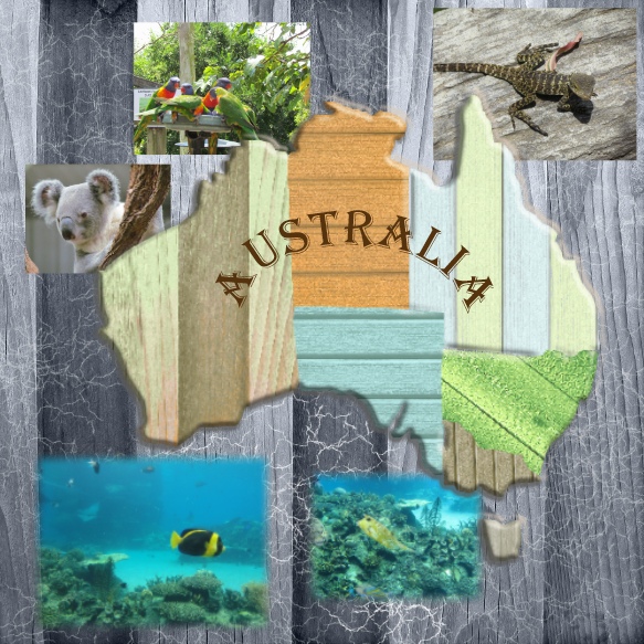 Aussie wood