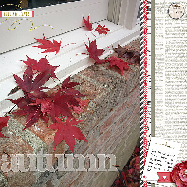 Autumn 2011