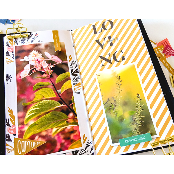 Autumn 2018 | Traveler's Notebook
