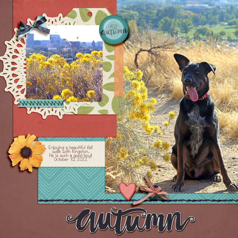 Autumn-22