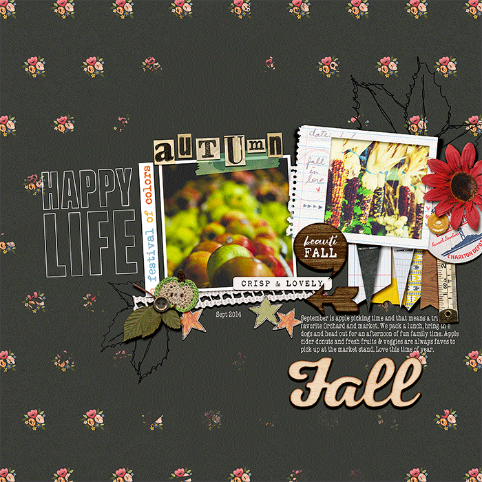 Autumn : A Festival of Colors