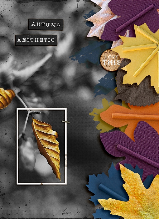 Autumn Aesthetic