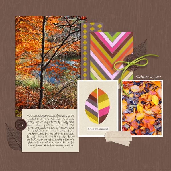 Autumn at the lake
