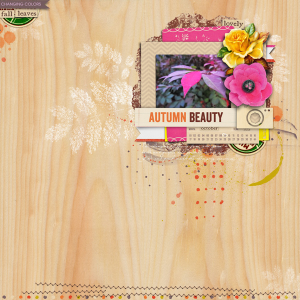 Autumn Beauty