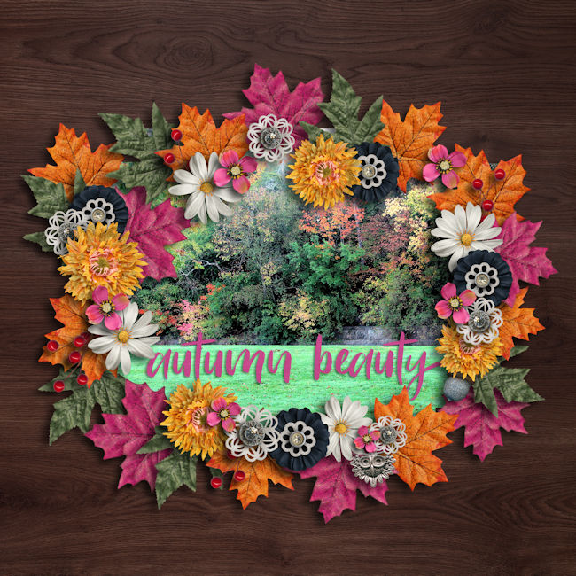 Autumn Beauty