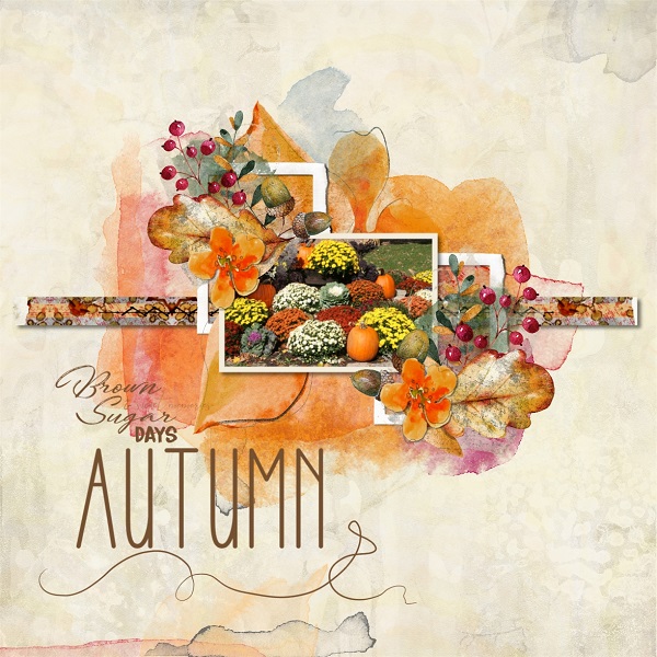 Autumn - Brown Sugar Days
