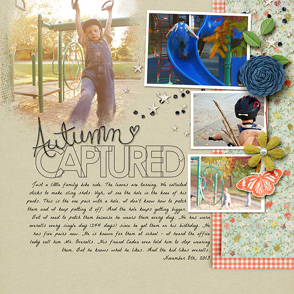 Autumn Captured