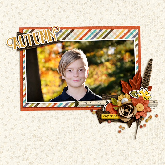 Autumn Captured