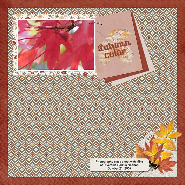 Autumn Color (3/5 Speed Scrap)