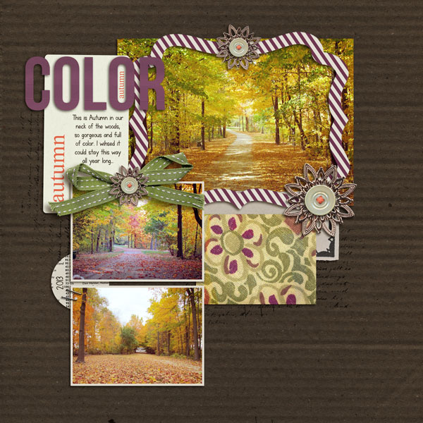 Autumn Color
