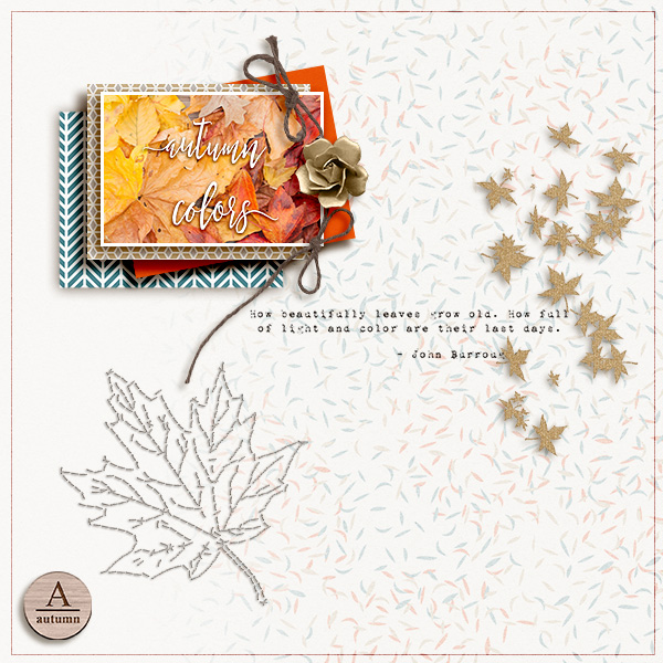 Autumn Colors