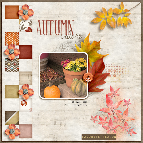 Autumn Colors