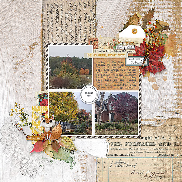 Autumn Colors