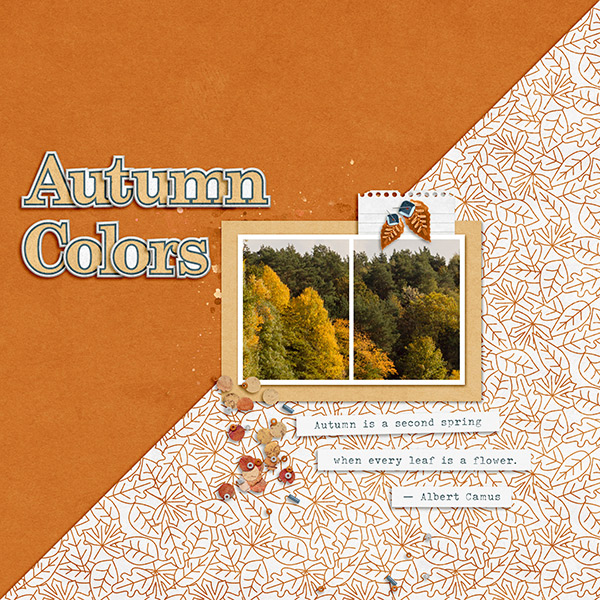 Autumn Colors
