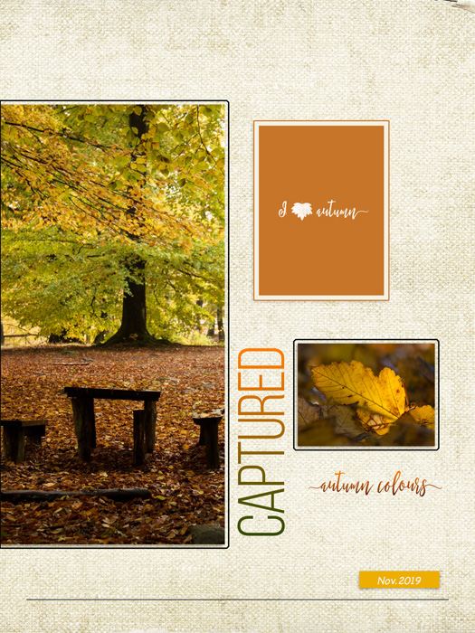 Autumn Colors