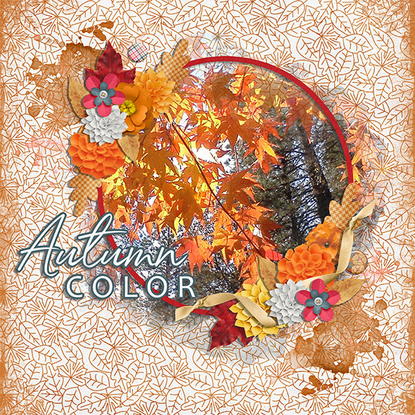 autumn colors