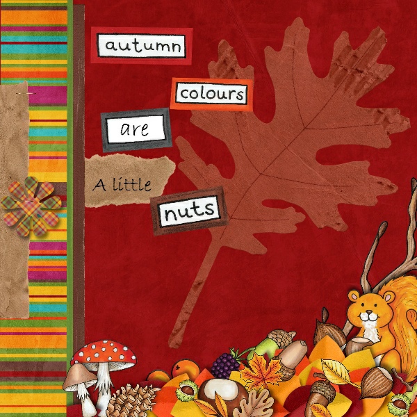 Autumn Colours Are Nuts