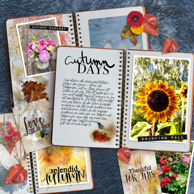 Autumn Days