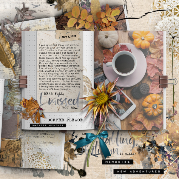 Autumn Diary
