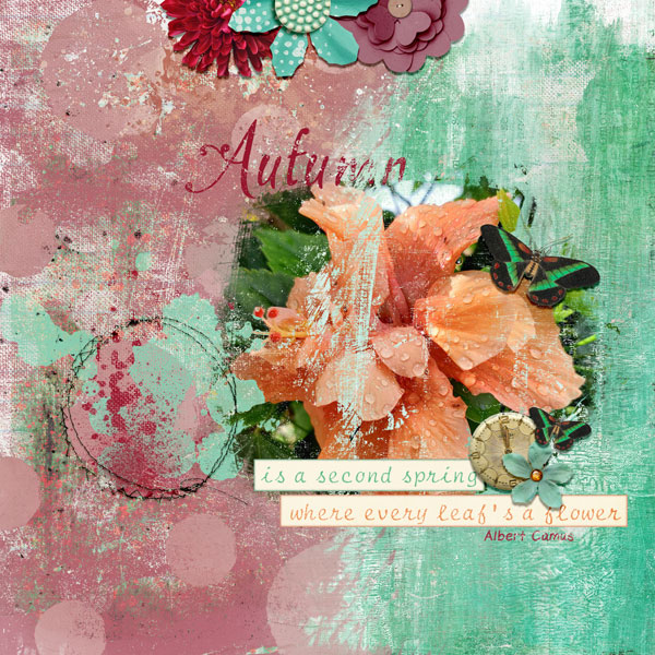 Autumn Flowers