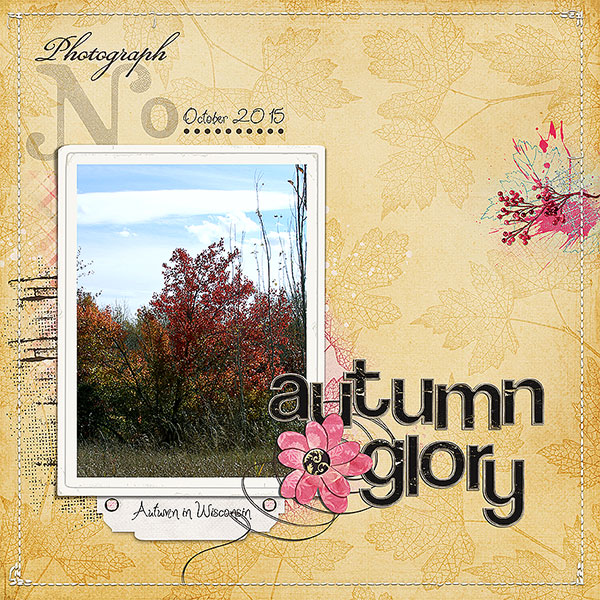 autumn glory