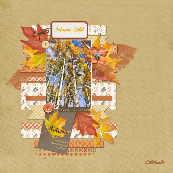 Autumn Gold