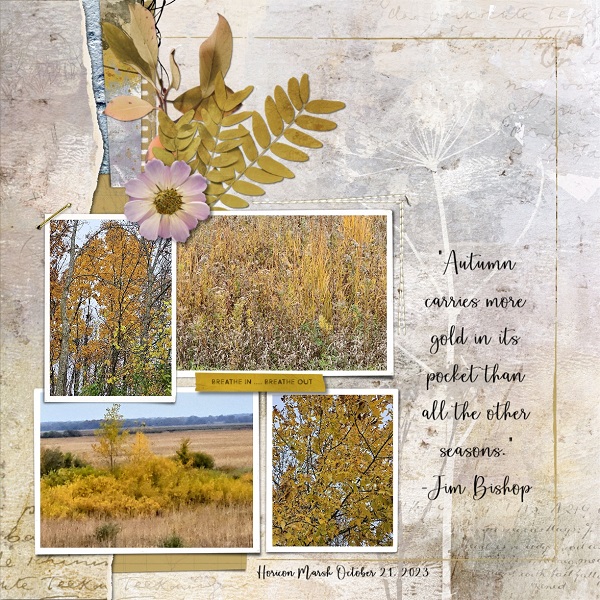 Autumn Gold