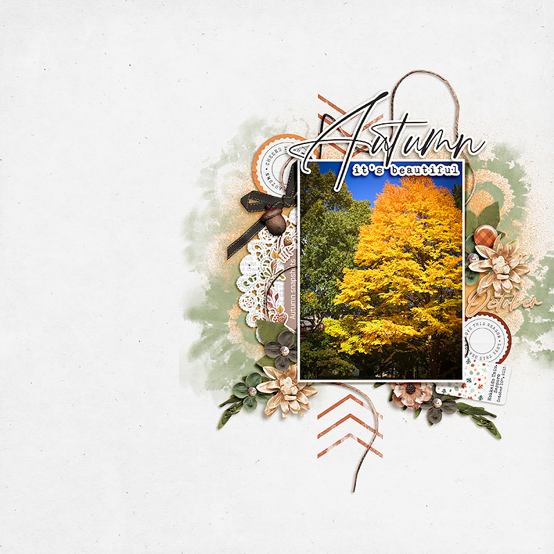 Autumn in Sapporo