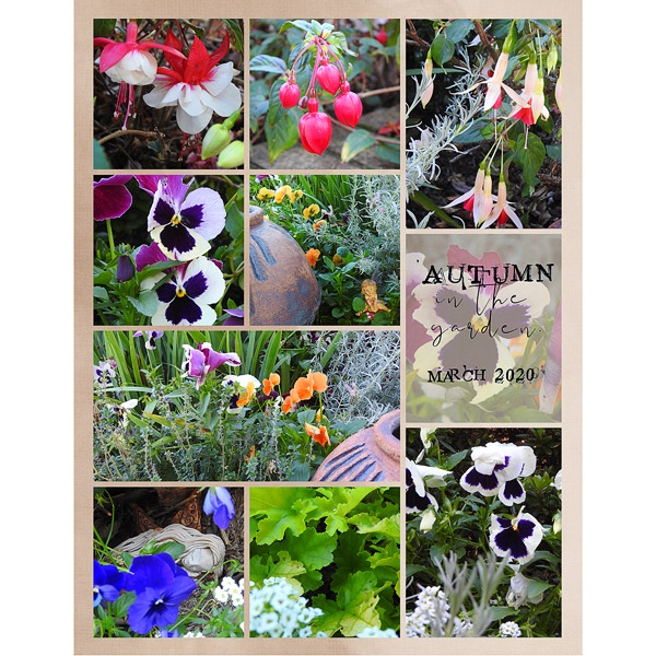 AUTUMN IN THE GARDEN-RIGHT HAND SIDE