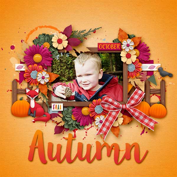 Autumn-is-here