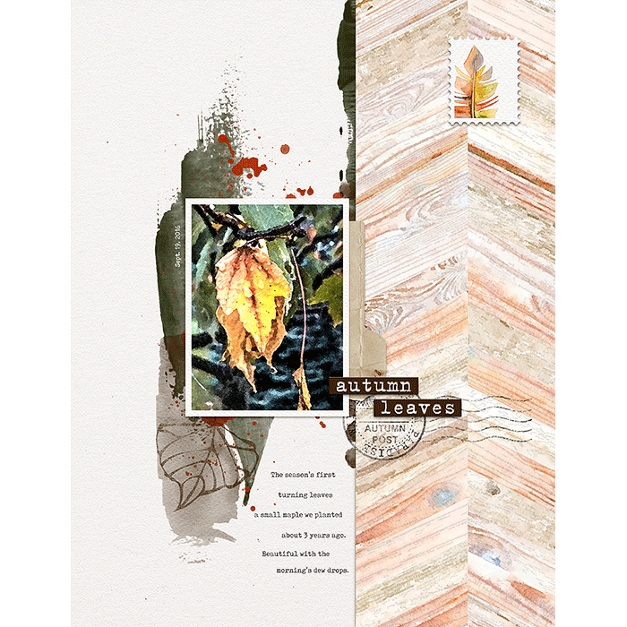 Autumn leaves