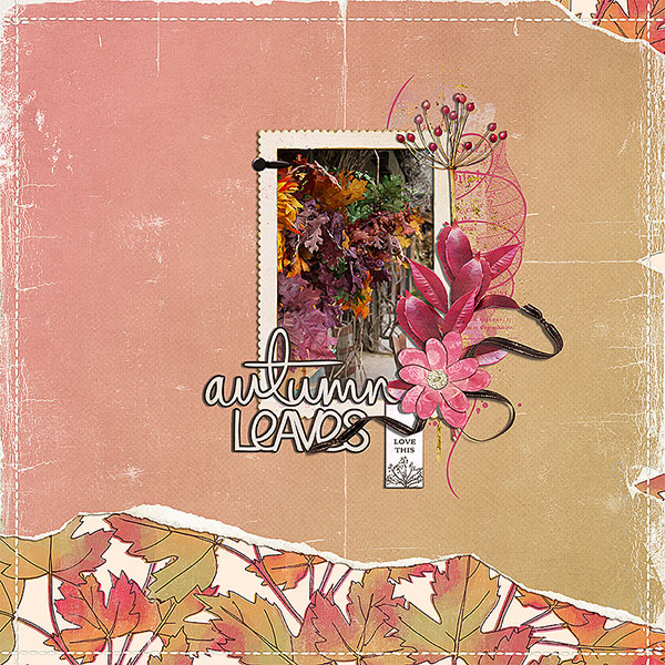 autumn leaves