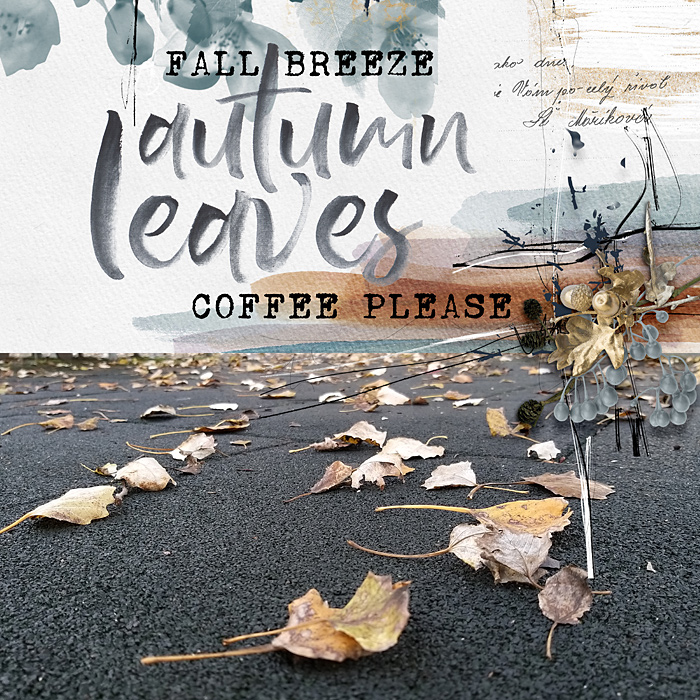 Autumn leaves