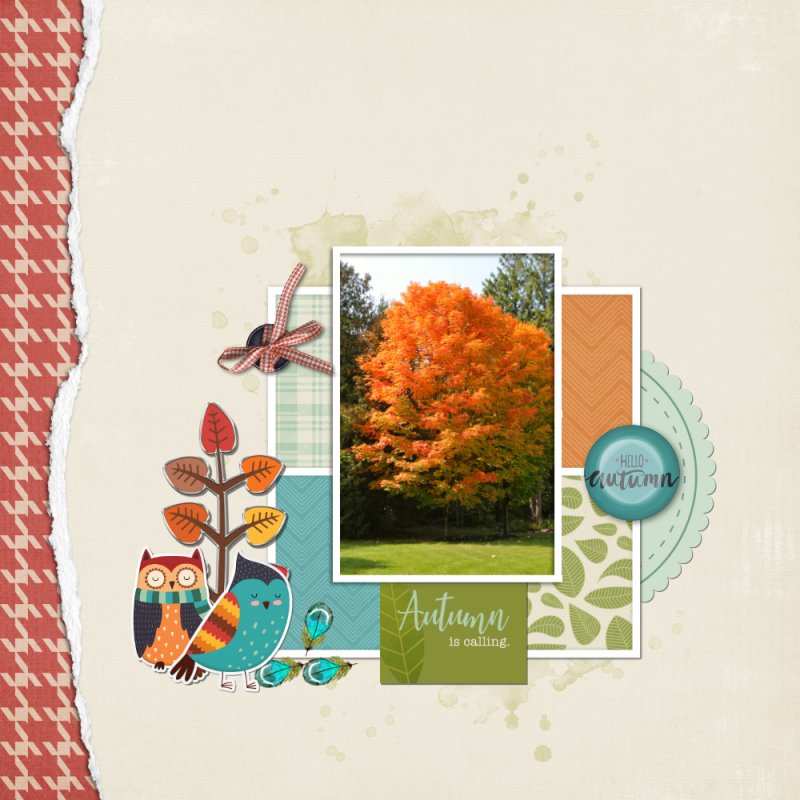 Autumn Leaves