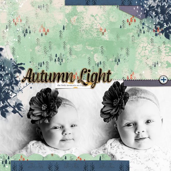 Autumn Light