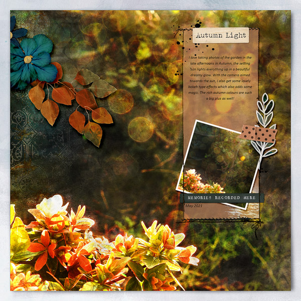 AUTUMN LIGHT