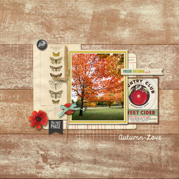 Autumn Love