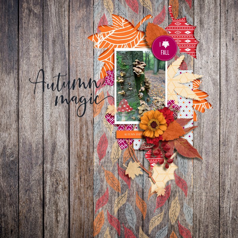 Autumn Magic