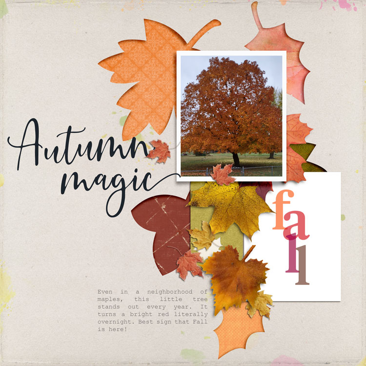 Autumn-magic