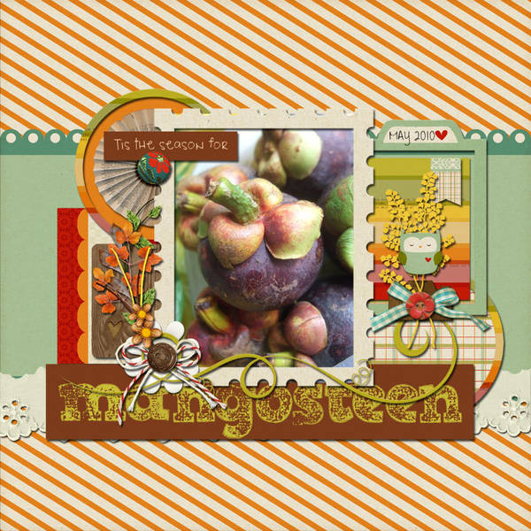 Autumn Mangosteen