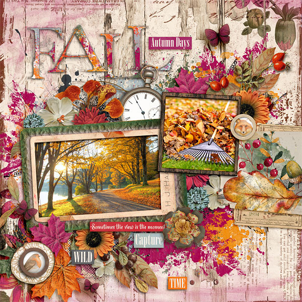 Autumn Moments