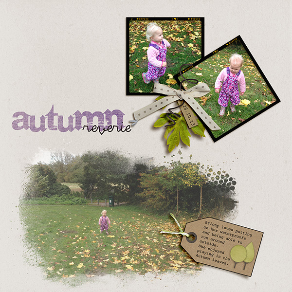 Autumn Reverie