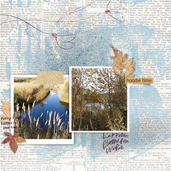 Autumn rhythm