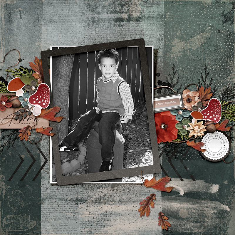 Autumn Snapshots