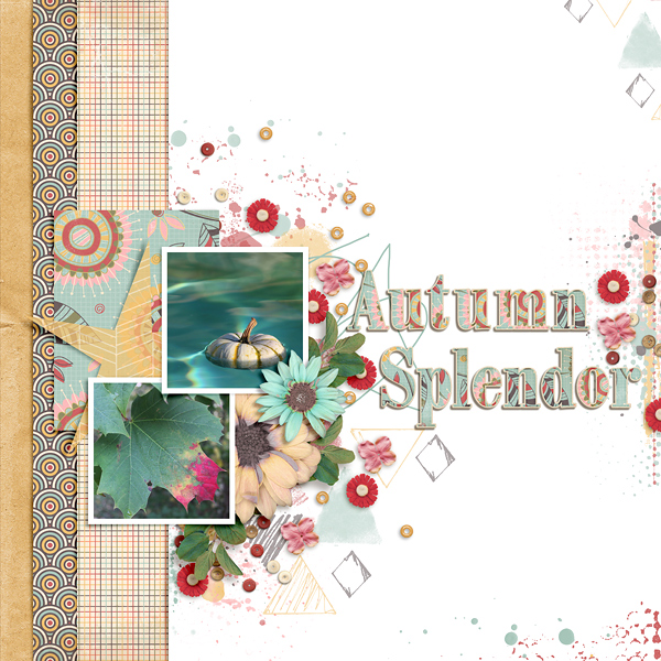 Autumn Splender