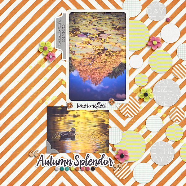 Autumn Splendor