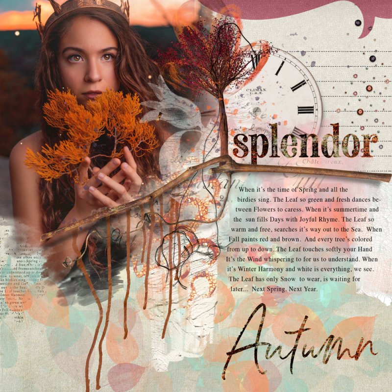 Autumn Splendor