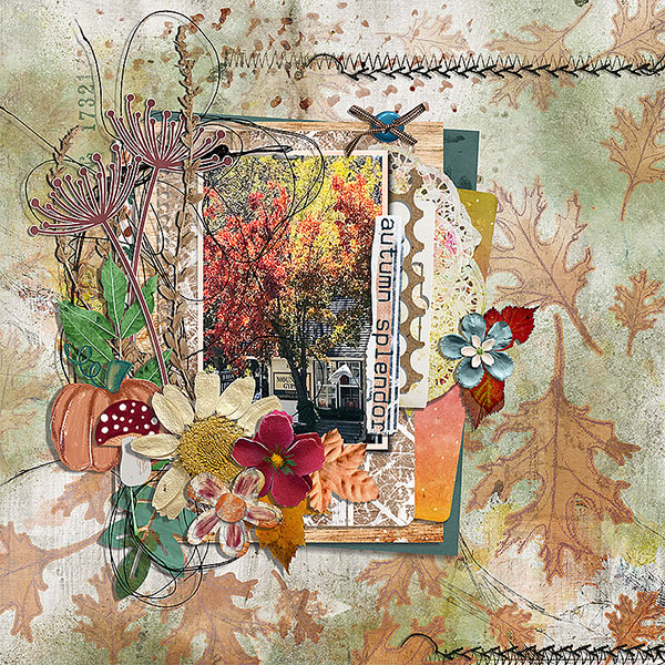 autumn splendor